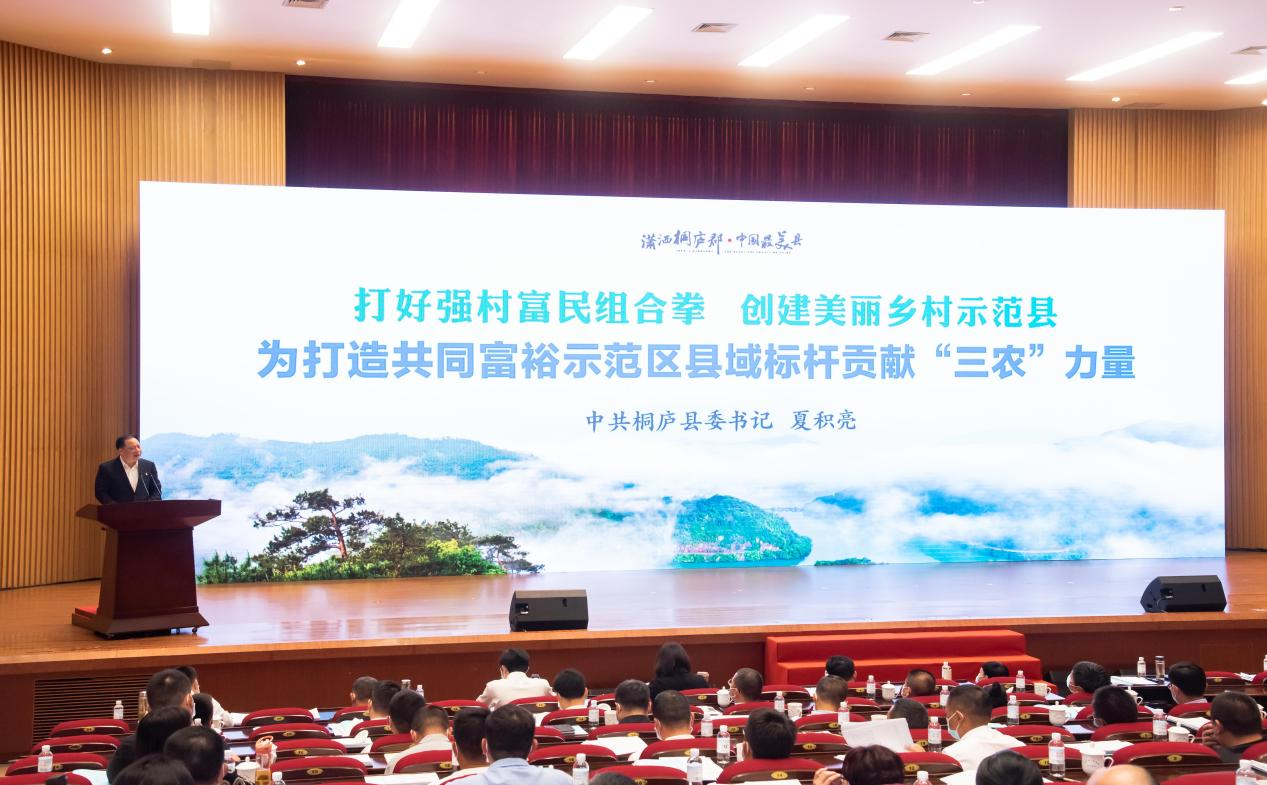 冰雪容与桐庐县人民政府签订战略合作协议，共同推进高质量发展共同富裕示范区县域标杆建设(图2)