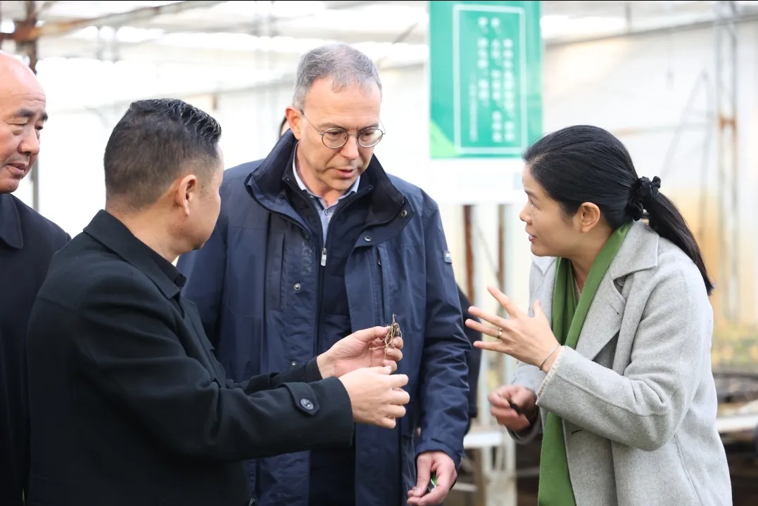 冰雪容·中比中药材（黄精）药理分析联合实验室负责人，比利时鲁汶大学Erwin Adams教授一行交流访问活动完美收官！(图13)